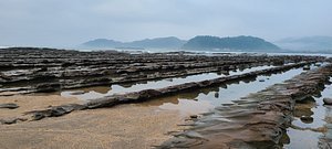 🌊 도깨비 빨래판(오니노 센타쿠이타) 이미지 1